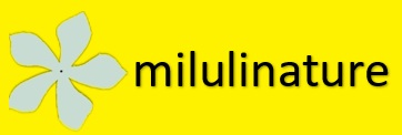 Milulinature
